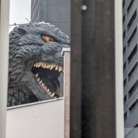 肉亭ふたご iki 新宿店 - 