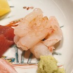 すが弥 - 甘海老です。菅谷氏はこのサイズがお好きなようで、確かに甘味と旨味が凝縮しております