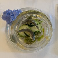 アルテリーベ - 