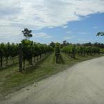 Tamar Ridge Cellar Door - 