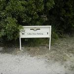 Tamar Ridge Cellar Door - 