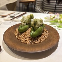 デルフィーナ - 