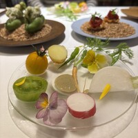 デルフィーナ - 