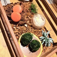 薪焼き flamma - 