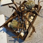 ヒカリヤ ニシ - ふきのとう、流木ではないです