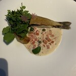 ヒカリヤ ニシ - 安曇野の岩魚