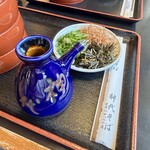 手打 神代そば - つゆと薬味（蕎麦の風味を邪魔する山葵やおろし紅葉はありません）