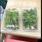 菜食健美 里味 - コシアブラ　2パック買いました　1パック800円　1パックに、いっぱい入ってます！　byまみこまみこ