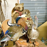 菜食健美 里味 - オシドリ夫婦　byまみこまみこ