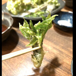 菜食健美 里味 - 筆〜美しい里味さんの女王様《コシアブラ》　　byまみこまみこ