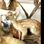 菜食健美 里味 - 里味店内　バンビちゃん　byまみこまみこ