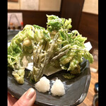 菜食健美 里味 - 里美さんのコシアブラと弁慶さんの揚げ方で最高の揚げ方に完成されました　byまみこまみこ