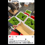 菜食健美 里味 - 里味さんのInstagramより　byまみこまみこ