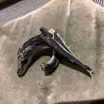 播州地酒 ひの - 料理