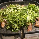 プルトゥンヌンテジ - 