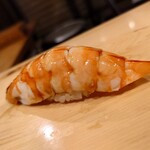 鮨 弥さか - 明石　赤足海老