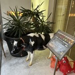 イエローカンパニー - 