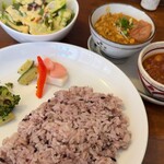 初台スパイス食堂 和魂印才たんどーる - 202504