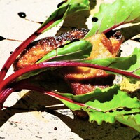 エピセ - 鴨フォアグラ