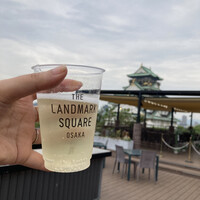 BLUE BIRDS ROOF TOP TERRACE - 