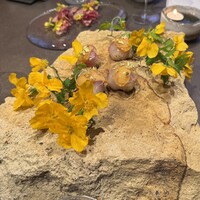 Auberge eaufeu - 