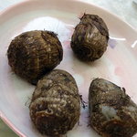 一平 - さといも