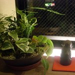 博多名代 吉塚うなぎ屋 - （2009年12月）