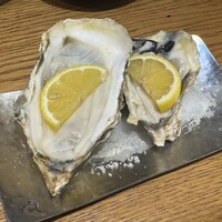 Seafood bar Ermitage 横浜鶴屋町店 - 