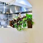 オステリア バッコ - 