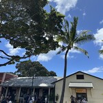 Matsumoto Shave Ice - 2025年5月17日