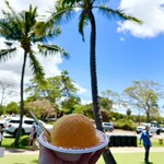 Matsumoto Shave Ice - 2025年5月17日