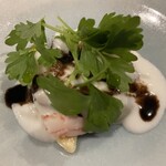 uto - 蛤／　竜鬚菜（ホワイトアスパラガス）　琵琶（びわ）甘エビ、キャビア　セロリとアスパラのクリーム