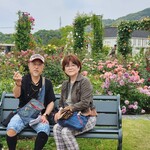 バハマン ケバブ - 