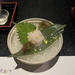 食肴旬菜 富一 - 