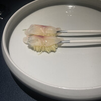 セルサルサーレ - 