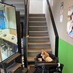 タレ焼肉と包み野菜の専門店 焼肉くるとん - カートでこの階段は大変でした
