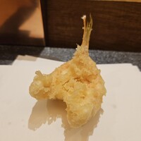 天 よこた - 