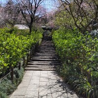 北鎌倉 紫−ゆかり− - 