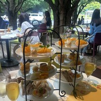 キハチ 青山本店 - 