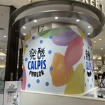 発酵 CALPIS PARLOR - 