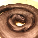 NARISAWA - 私、爬虫類が駄目なんです、見ているだけで痺れてきます（笑）　(2014/08)