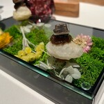 ブレストンコート ユカワタン - 