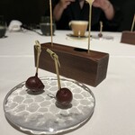 ブレストンコート ユカワタン - 