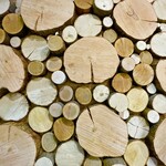 イヌワシストア - 