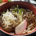 山里 - 冷やしかけ蕎麦
