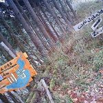 cafe こみんか - 「こみんか」道の途中の看板です。