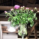 ファイ - ２階の特別な空間Pneuma