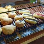 テーラ テール - 