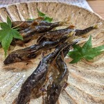 割烹 市川 - 稚鮎の塩焼き