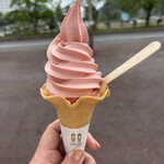 浅虫水族館 軽食コーナー - 